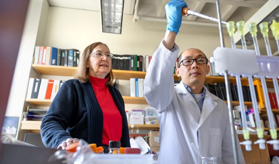 Scientists Resurrect Ancient Enzyme