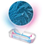 UK scientists create a personalized lung-on-a-chip