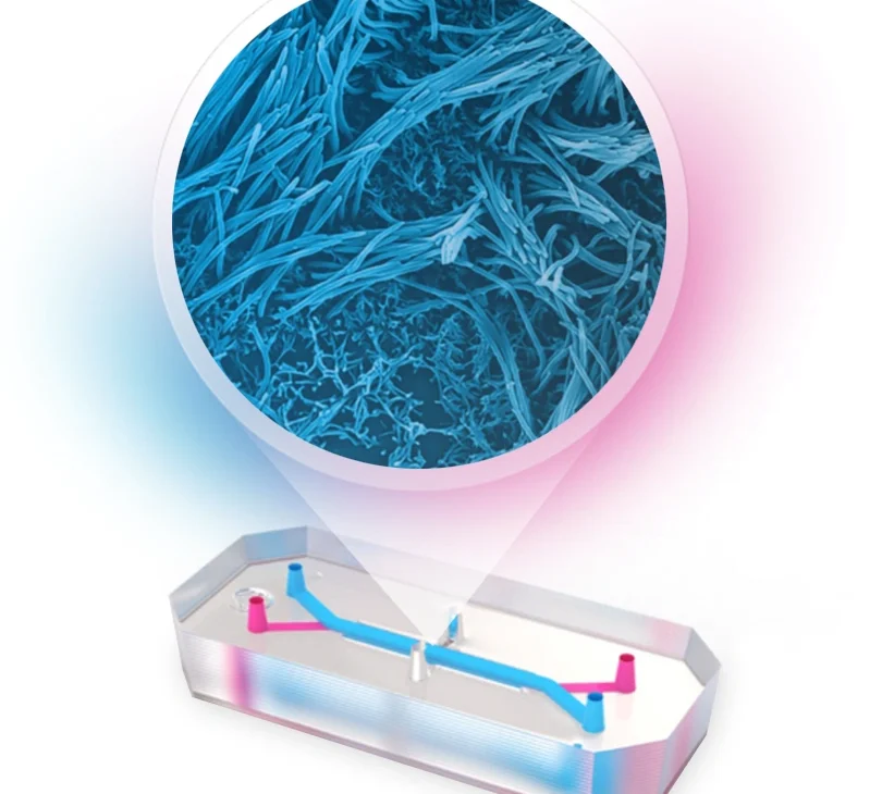 UK scientists create a personalized lung-on-a-chip