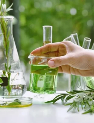 Plant Discovery for Medicines