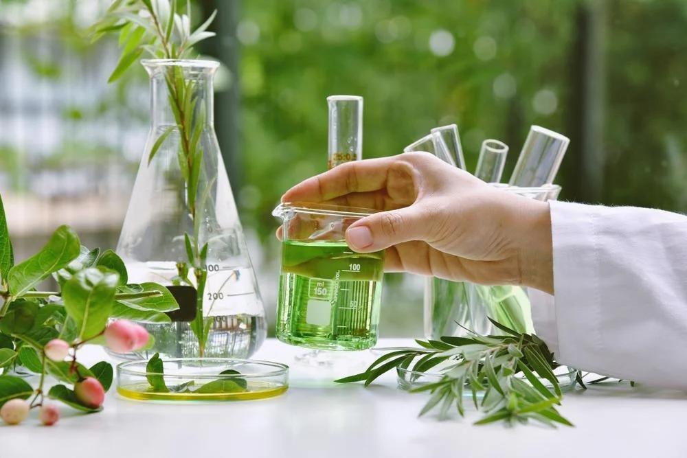 Plant Discovery for Medicines