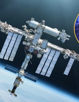 Phage–host dynamics